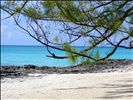 Beach on Bimini Island